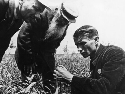 The Lysenko-ization of federal science takes a big step forward