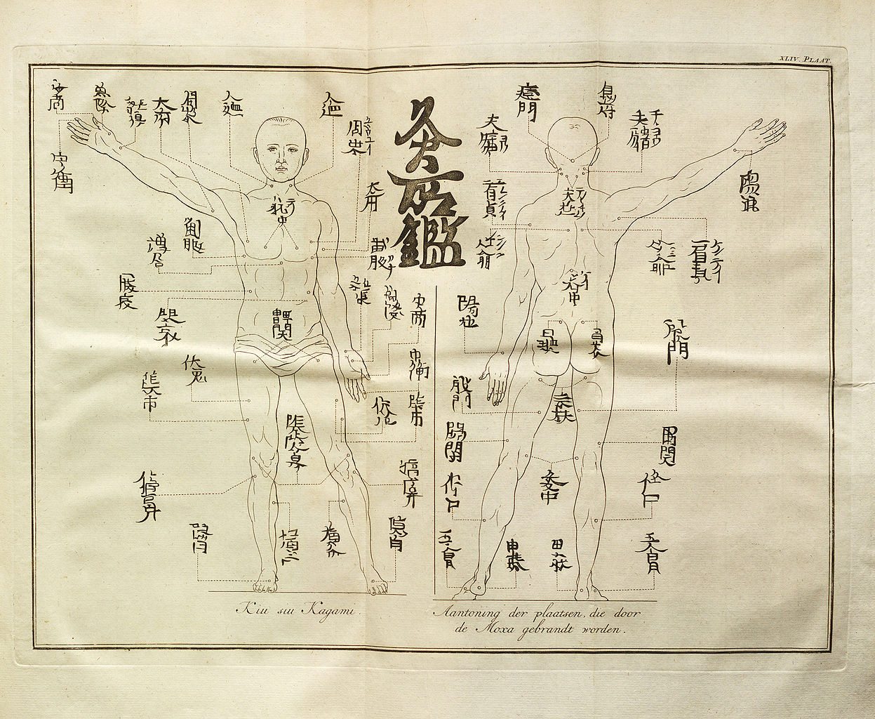 The Forefather of Acupuncture Energetics, a Charlatan? | Science