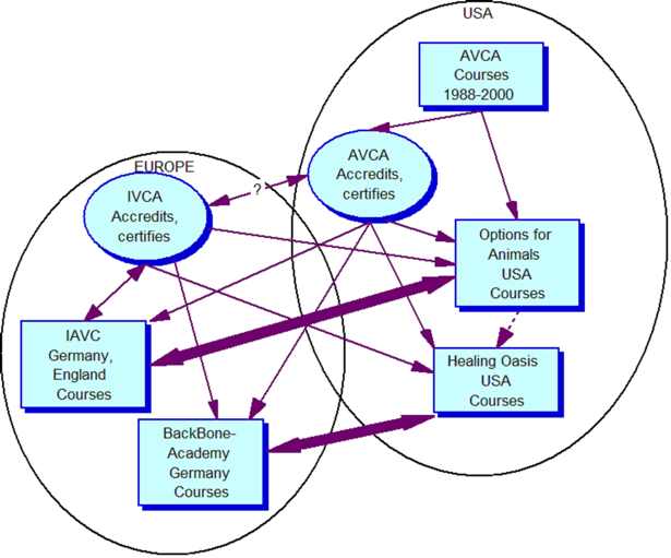 Fig. 1. Organisation and association scheme of the appraised animal chiropractic enterprises.