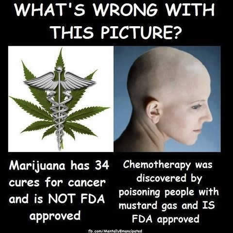 marijuana-cancer