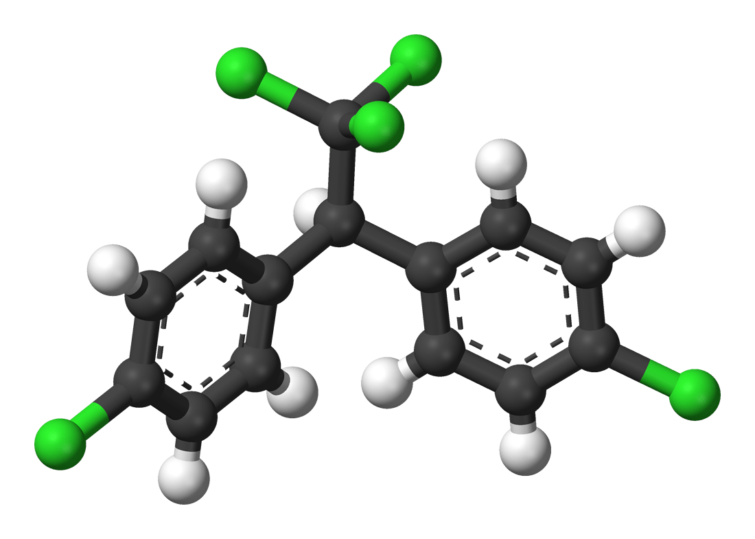 3D model of dichlorodiphenyltrichloroethane (DDT), an insecticide