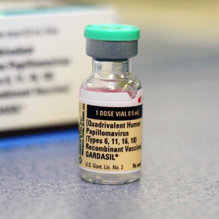 human papillomavirus vaccine telugu