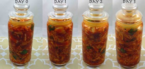 Delicious homemade Kimchi (fermented cabbage). It's alive!