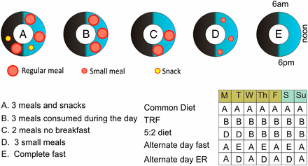 Intermittent Fasting  Science-Based Medicine