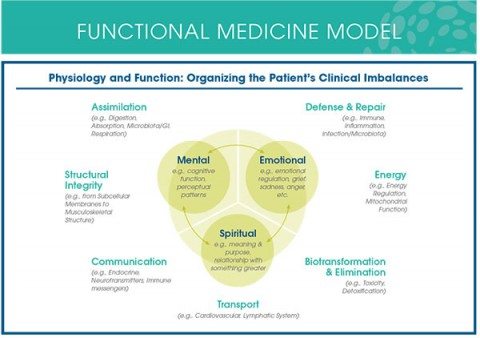 Functional Medicine practitioners like to make patients think that this diagram actually means something.