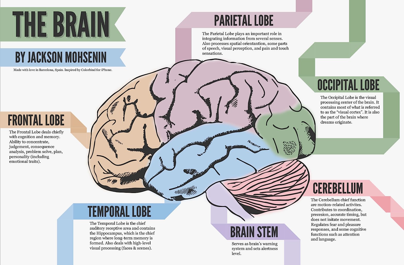 Brain out чертежи