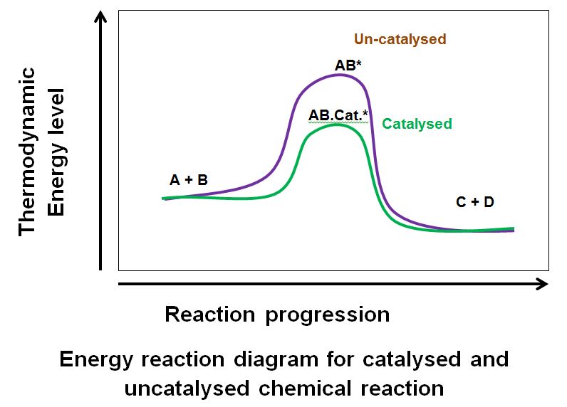Energy reaction diagram