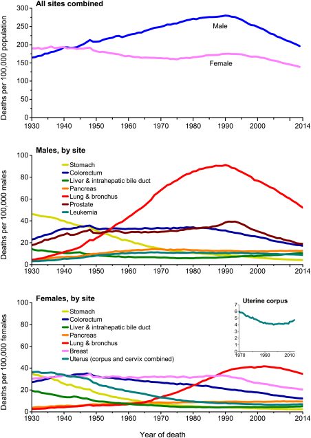 Mortality by cancer