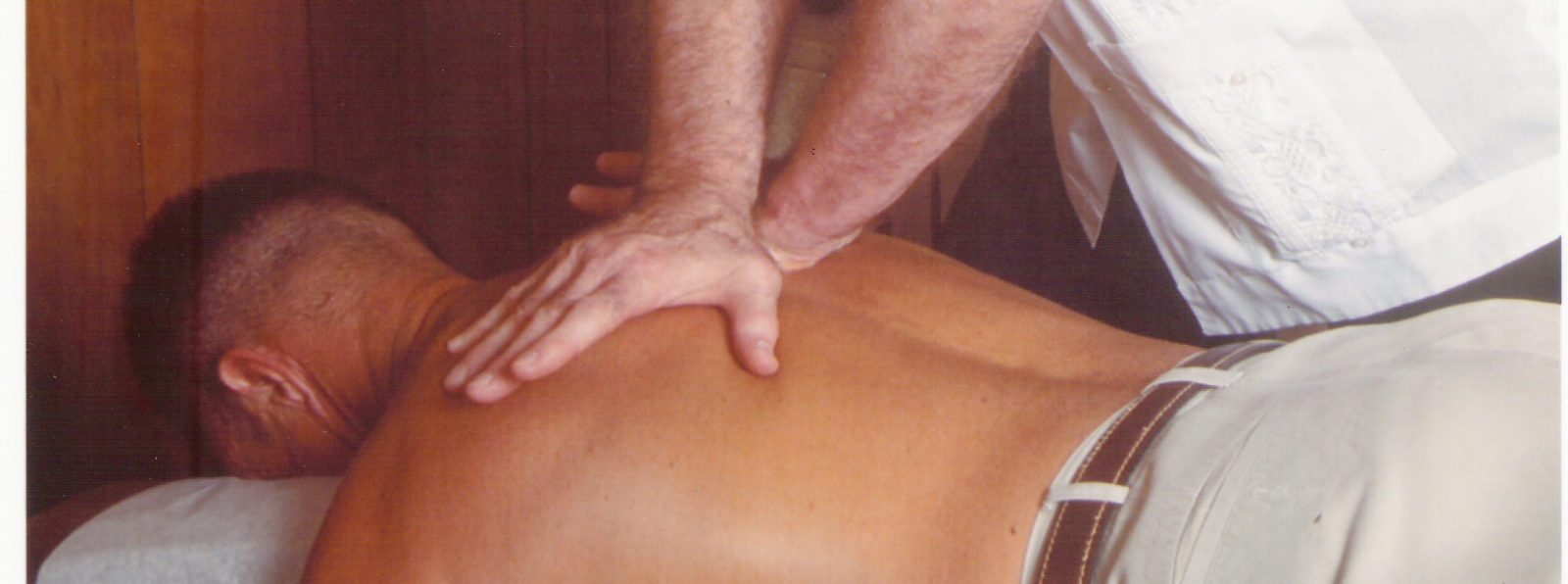 Spinal Manipulation, Chiropractic, and Subluxation Theory