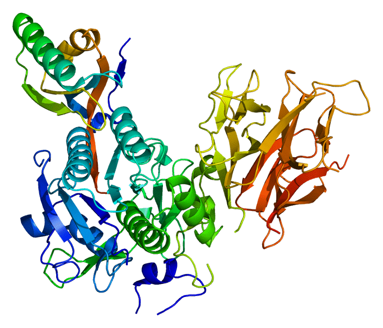 PyMOL rendering of the structure of the PCSK9 protein. 