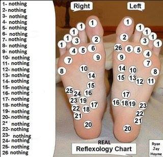 A more accurate reflexology chart