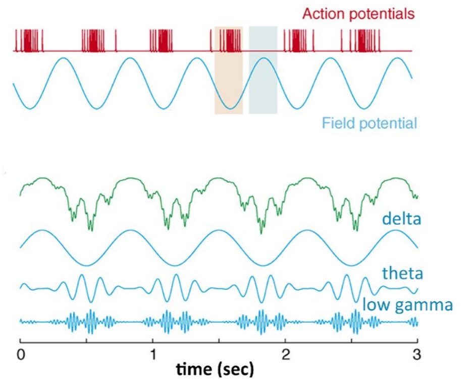 Music for ADHD? ScienceBased Medicine