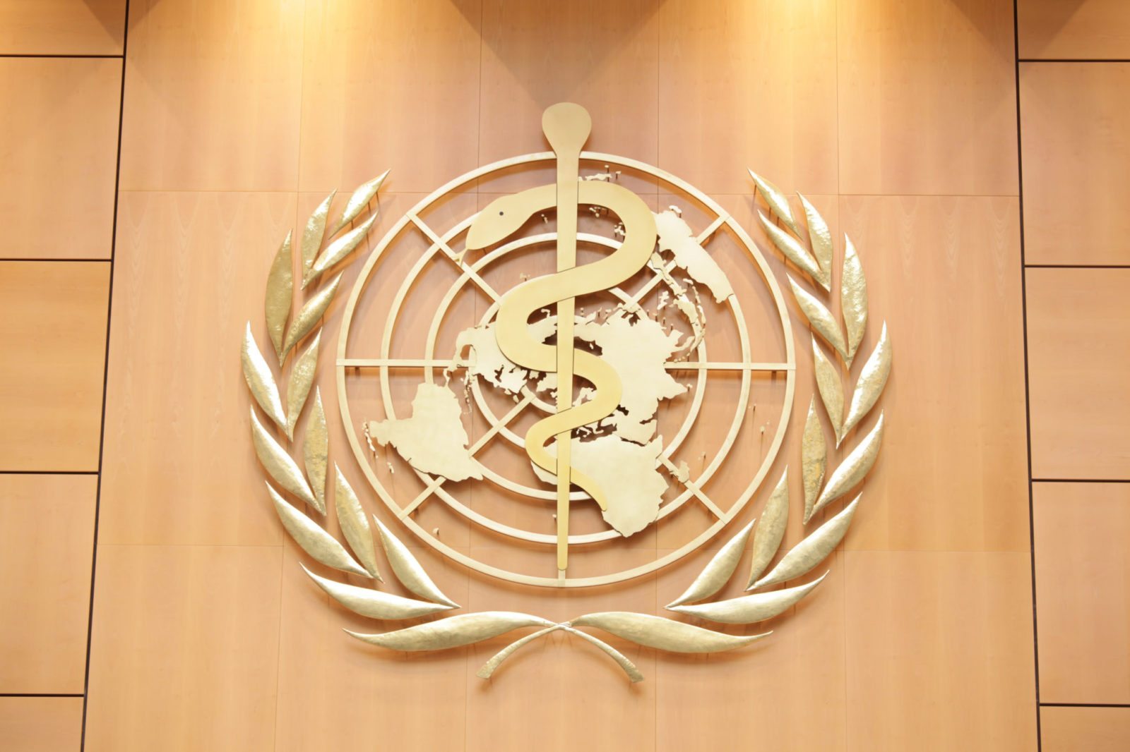 ICD-11: A triumph of the “integration” of quackery with real medicine