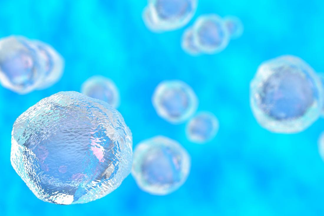 State Attorneys General pursue consumer protection law claims against stem cell ..