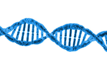 DNA Image