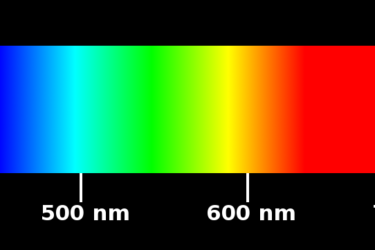 The Light Spectrum