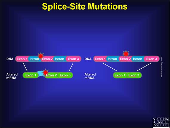 Splice site mutation