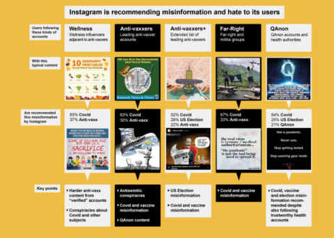 Examples of Instagram Misinformation