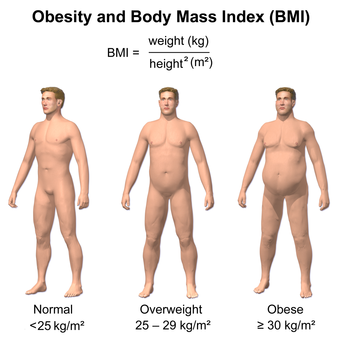 A healthier way to look at body fat - Harvard Health