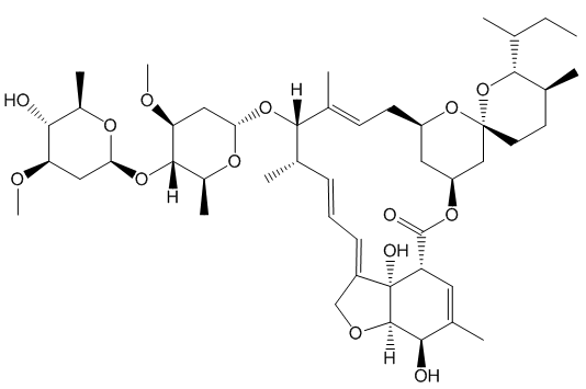 Ivermectin molecule