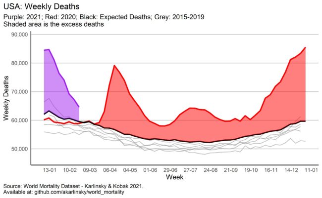 Deaths and Excess Deaths in Brazil | Science-Based Medicine