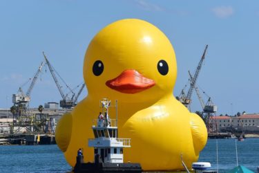 Rubber Duck quack