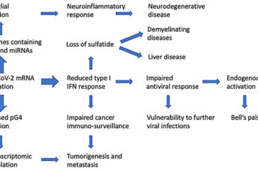 Graphical Abstract