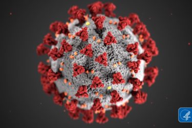 SARS CoV2 virus