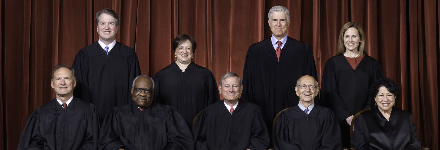 Legislative alchemy and abortion: How the fall of Roe v. Wade will degrade science-based medicine - Vimarsana News