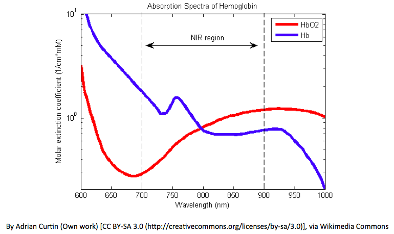 The absorption spectrum of hemoglobin relevant to pulse oximetry