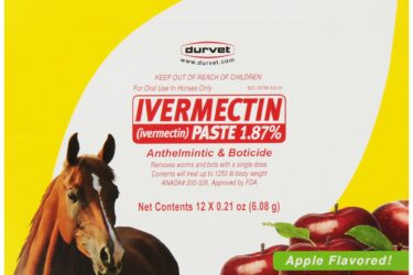Ivermectin horse paste