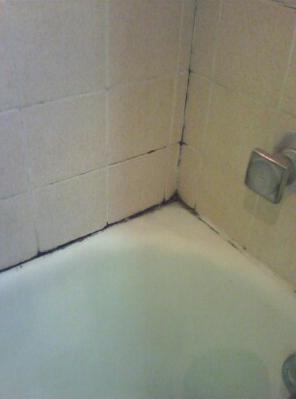 Black mold in a bathtub