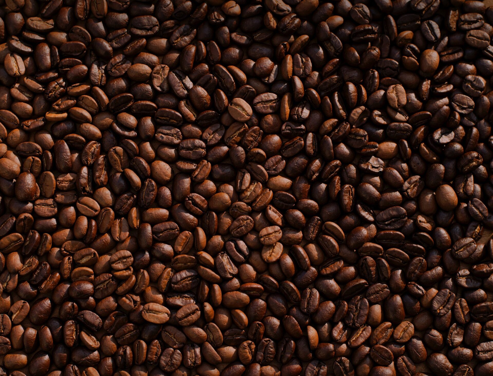 The Decaf Wars | Science-Based totally Drugs