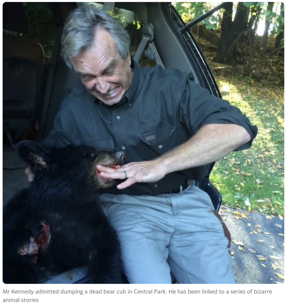 A man with gray hair, sitting in a vehicle, interacts playfully with a bear cub. The background shows trees and greenery. The man appears to be in a lighthearted moment with the bear.