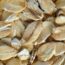 Close-up of raw, rolled oats displaying their flat, oval shape with beige and white shades. The texture appears dry and flaky, typical of uncooked oatmeal.