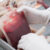 A person wearing white gloves is handling a blood bag among several others in a storage drawer. The bags are filled with red liquid and have labels. The scene is likely set in a medical or laboratory environment.