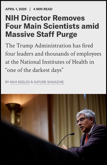 A man in a suit speaks into a microphone at a podium. The article headline reads, "NIH Director Removes Four Main Scientists amid Massive Staff Purge," with details about actions by the Trump Administration at the NIH.