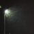 A streetlamp glows at night, illuminating swirling trails made by flying insects, which create intricate patterns against the dark sky. A leafy tree is visible on the left edge of the image.