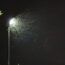 A streetlamp glows at night, illuminating swirling trails made by flying insects, which create intricate patterns against the dark sky. A leafy tree is visible on the left edge of the image.