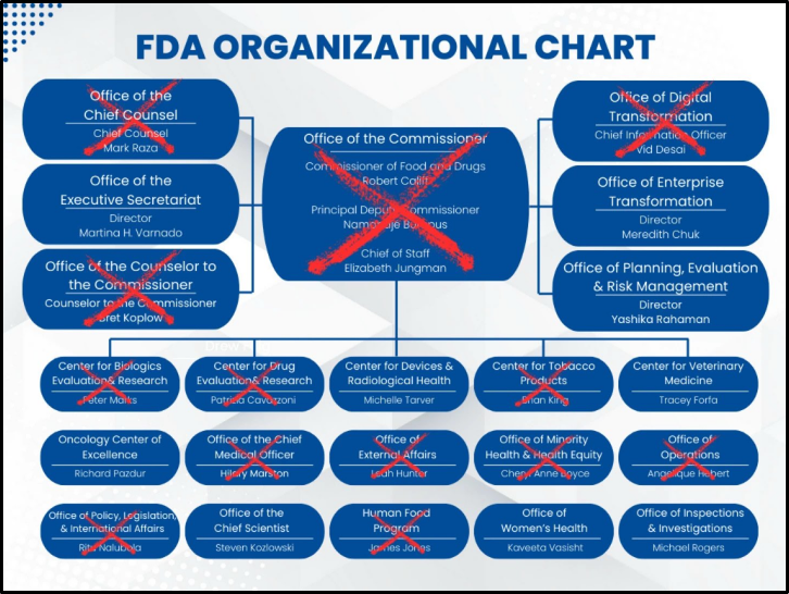 An FDA organizational chart shows departments and leaders. Several boxes, including “Office of Digital Transformation,” “Office of Planning, Evaluation, Enterprise Transformation,” and others, have large red X marks over them.