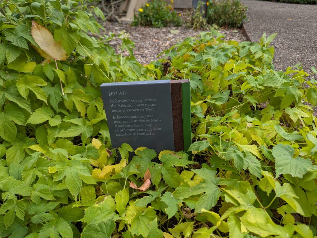 A small plaque partially covered by green plants reads, “1492 AD: Columbus' voyage across the Atlantic—New plants become known to West. Ed. exchanges involved items first used on continent by Native Americans, for a range of uses from subsistence to medicine.”.
