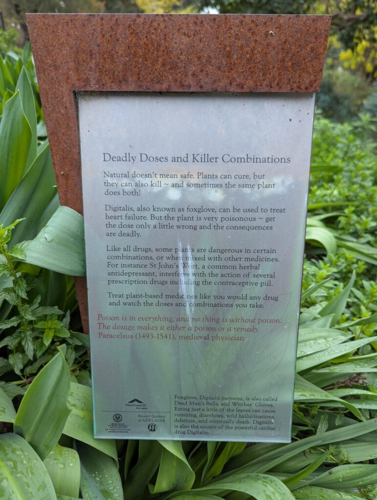 A metal plaque in a garden, surrounded by green plants, explains the dangers of plant-based medicines, titled "Deadly Doses and Killer Combinations," and includes a quote from Paracelsus about poison and dosage.