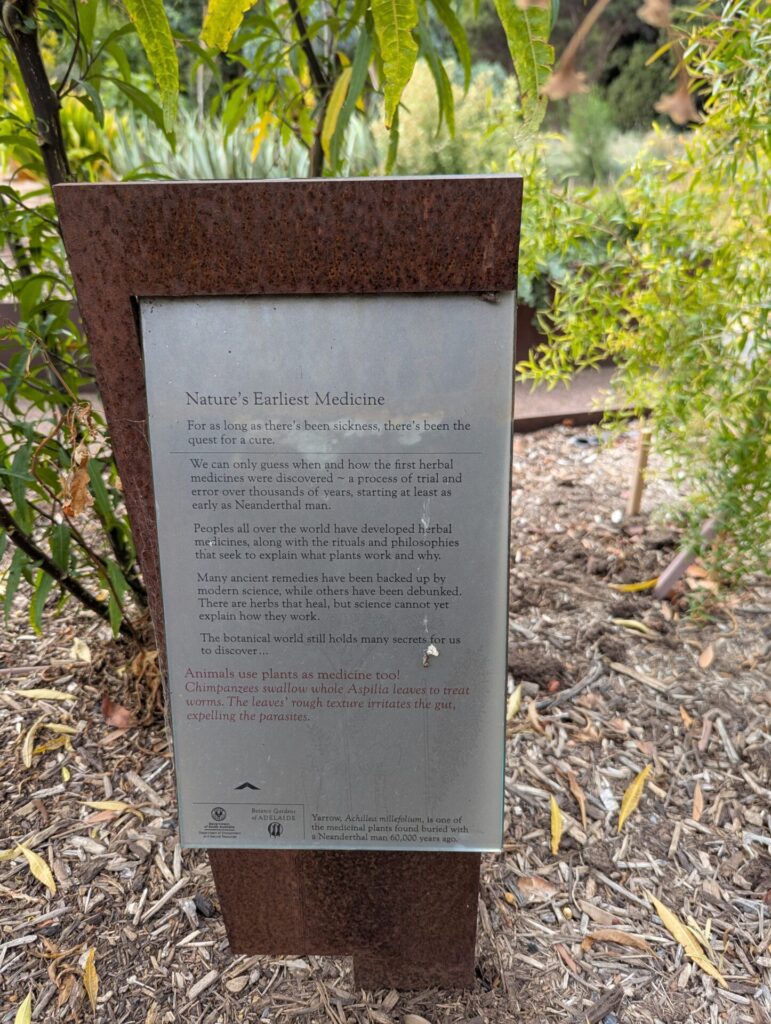 A metal sign in a garden explains the history of herbal medicine, detailing how people and animals have long used plants for healing. The sign is surrounded by wood chips, green plants, and soil.