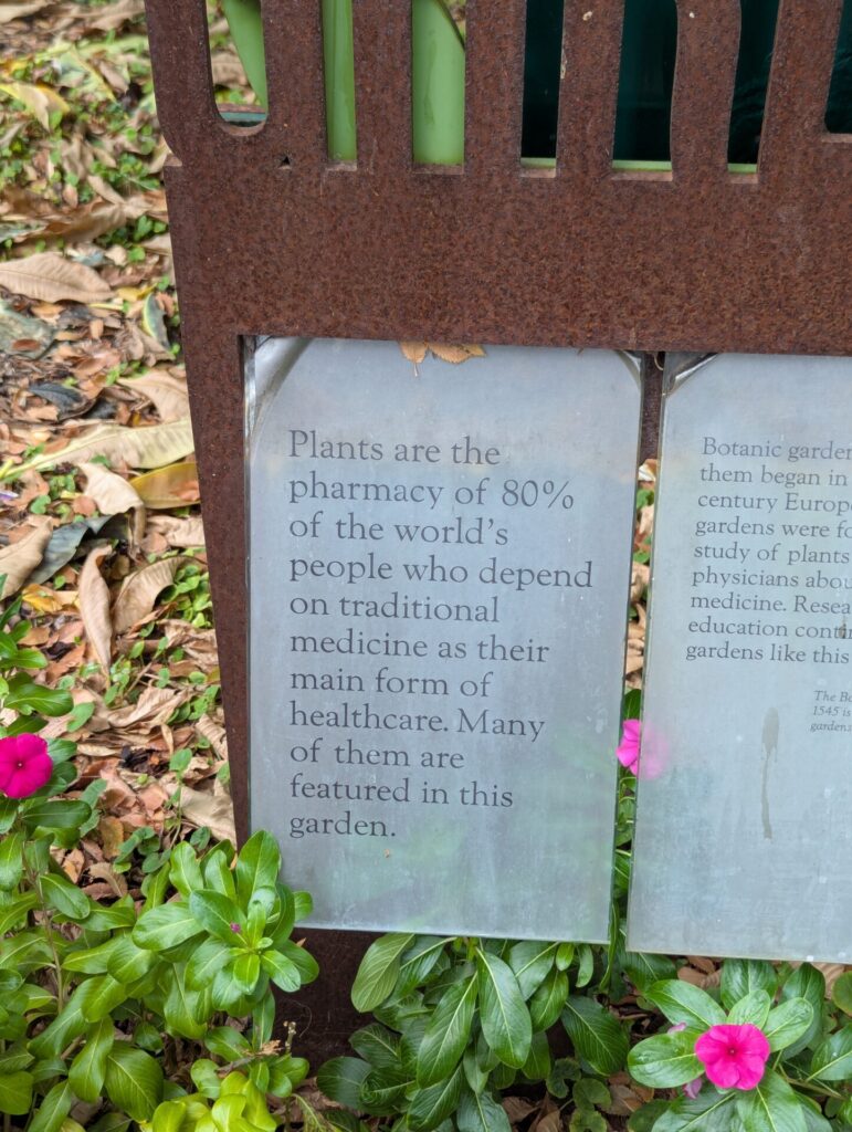 A metal sign among green plants reads: "Plants are the pharmacy of 80% of the world’s people who depend on traditional medicine as their main form of healthcare. Many of them are featured in this garden.