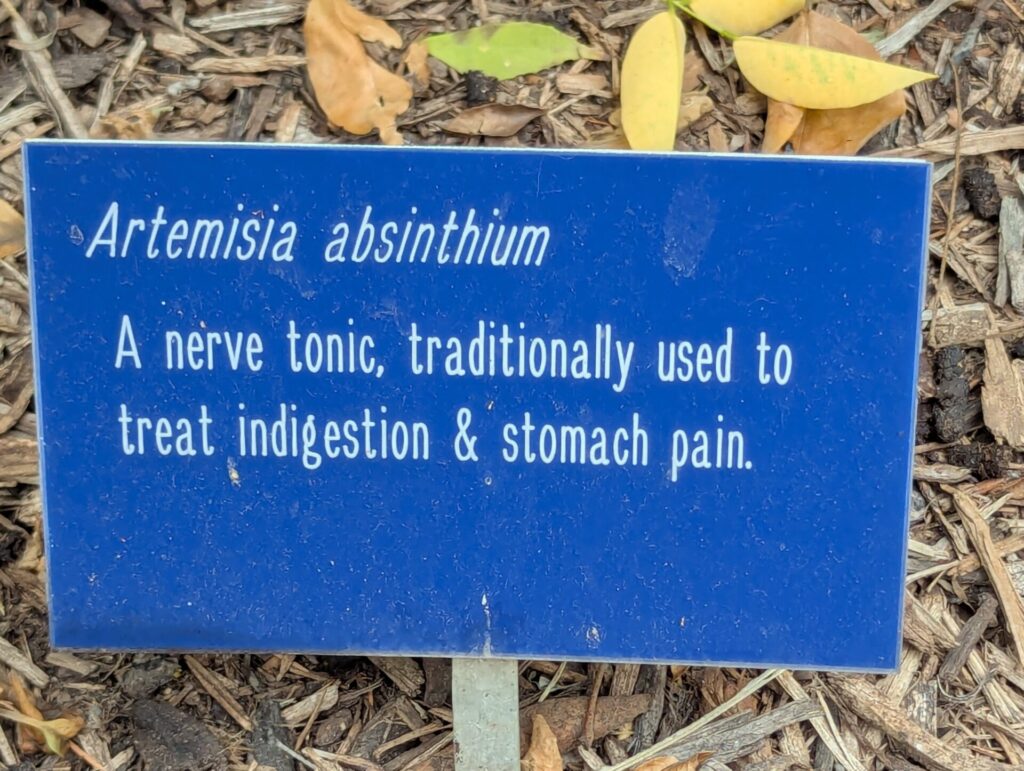 A blue sign reads: "Artemisia absinthium. A nerve tonic, traditionally used to treat indigestion & stomach pain," with dried leaves and soil visible around it.
