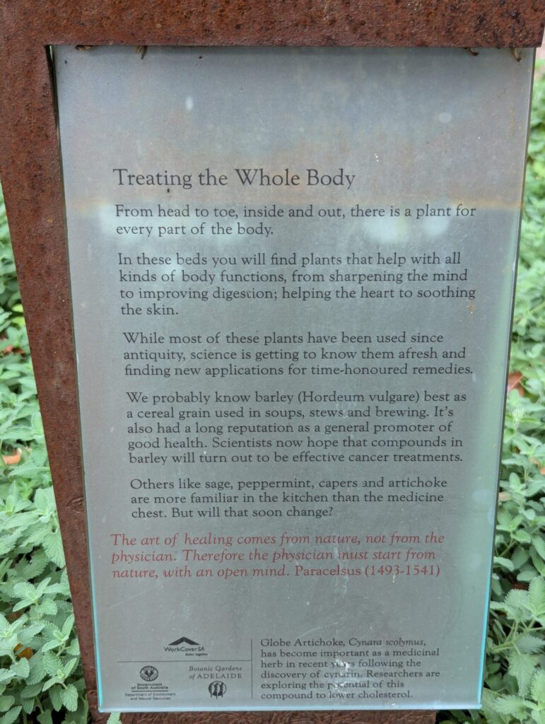 A sign titled "Treating the Whole Body" explains how various plants aid in healing different body functions, highlighting barley and kitchen herbs. A red quote below emphasizes healing comes from within, attributed to Paracelsus.