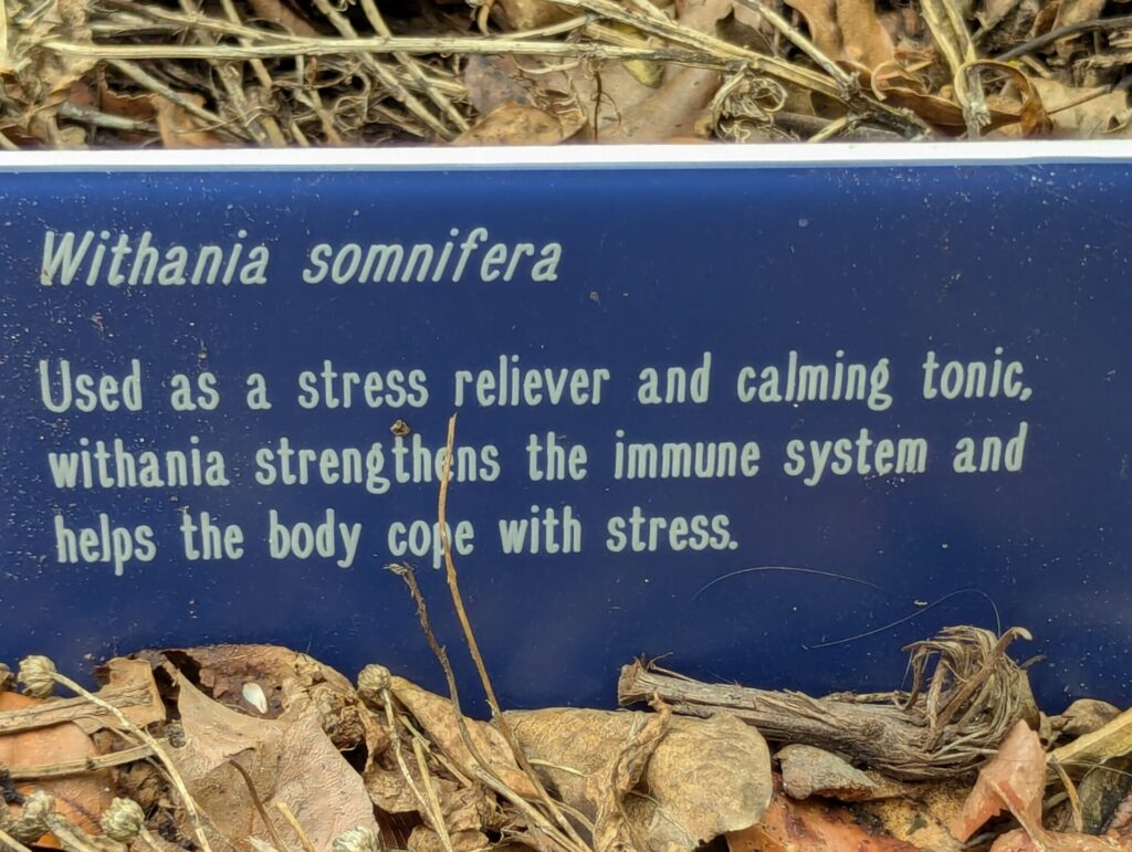 A blue sign partially surrounded by dry leaves reads: "Withania somnifera. Used as a stress reliever and calming tonic, withania strengthens the immune system and helps the body cope with stress.
