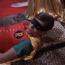 Robin toppled. (Vinay Prasad.)