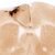 A stained cross-section of a brain shows labeled anatomical regions, including "CX" and "CC," with dark and light regions indicating different tissue densities. A scale bar at the bottom right reads 0.5 mm.