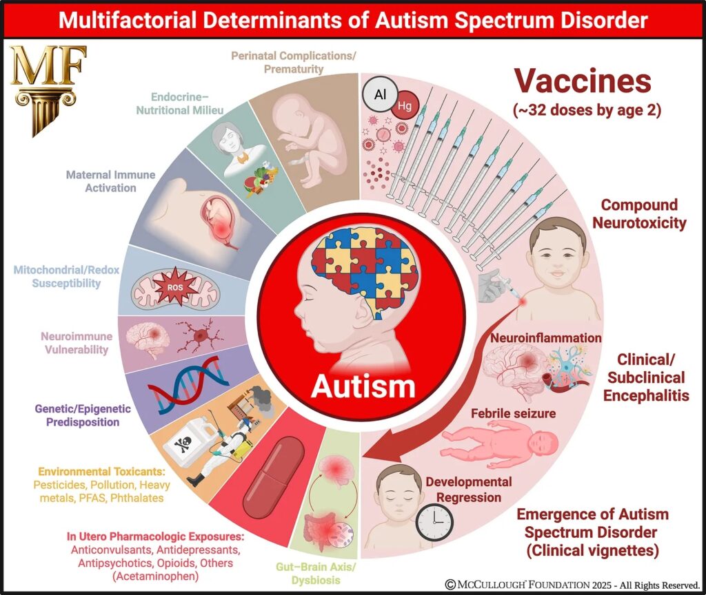 McCullough Foundation nonsense